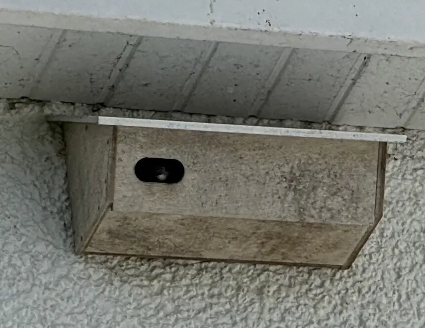 A Swift box installed beneath the eaves of a building
